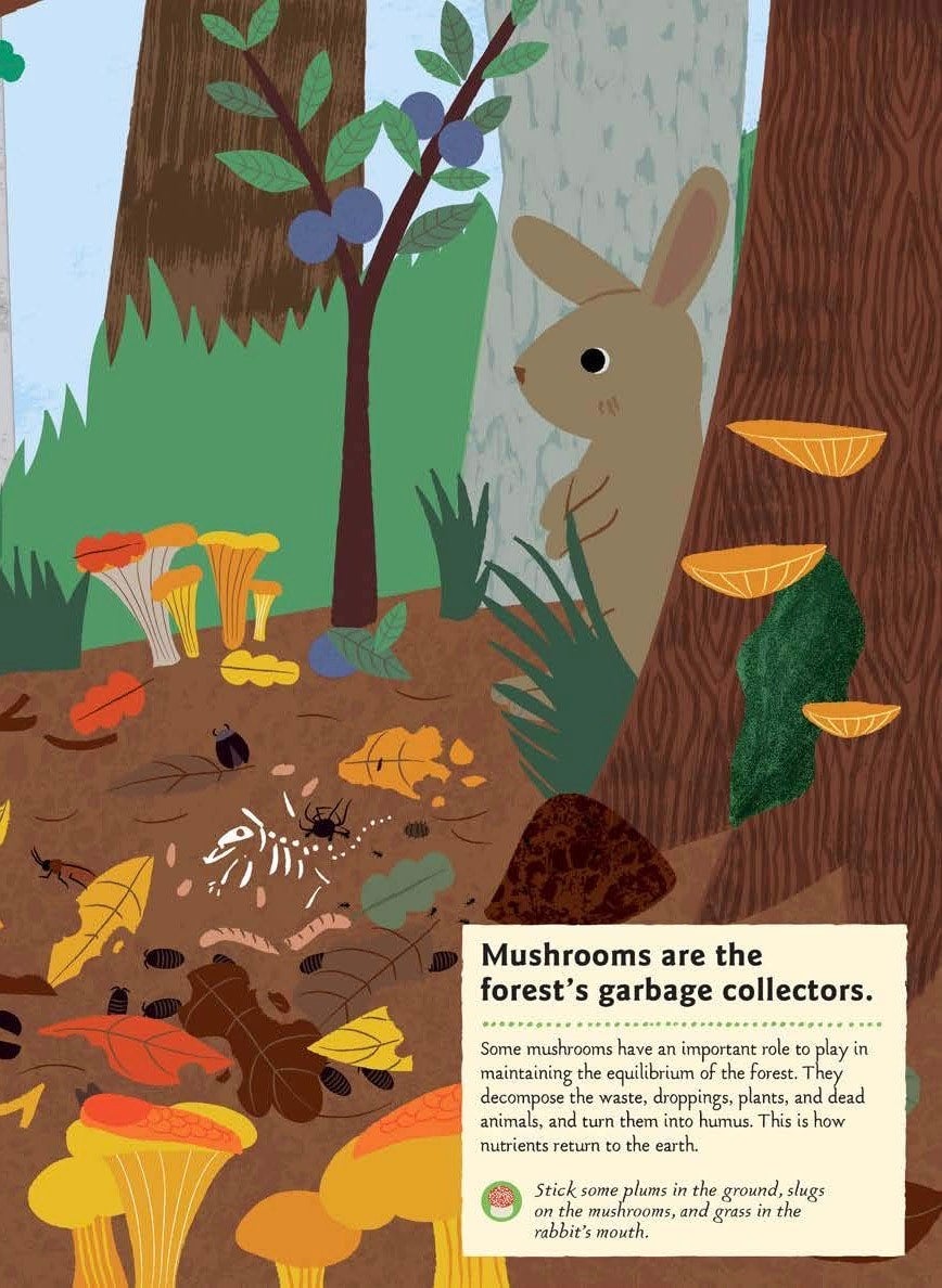 In the Forest: My Nature Activity Sticker Workbooks (Ages 5-8), photo 5 of 6