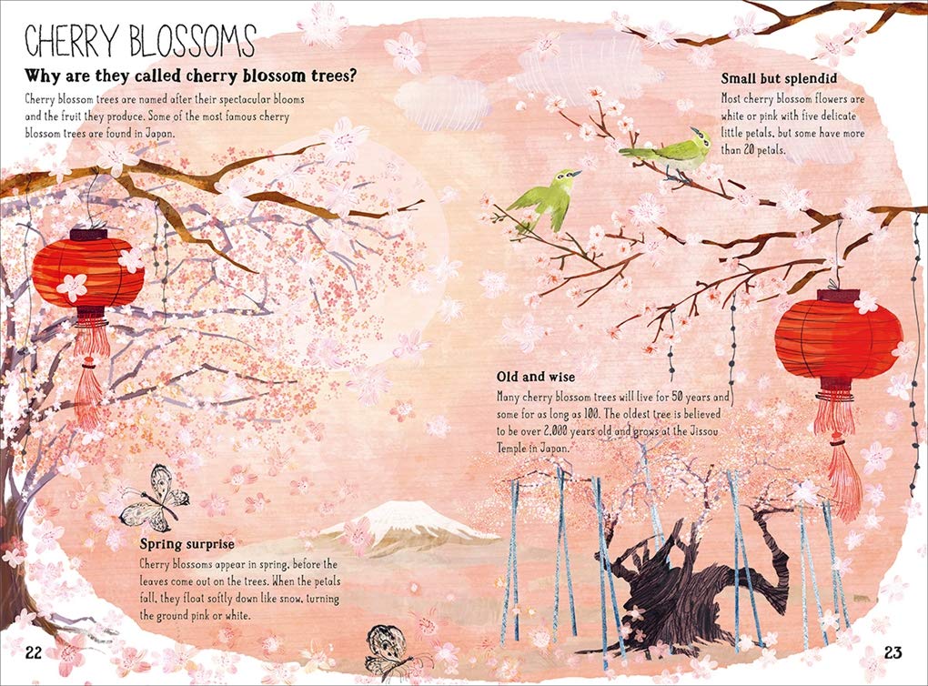 The Big Book of Blooms (The Big Book Series) - Large Hardcover Books, photo 2 of 8