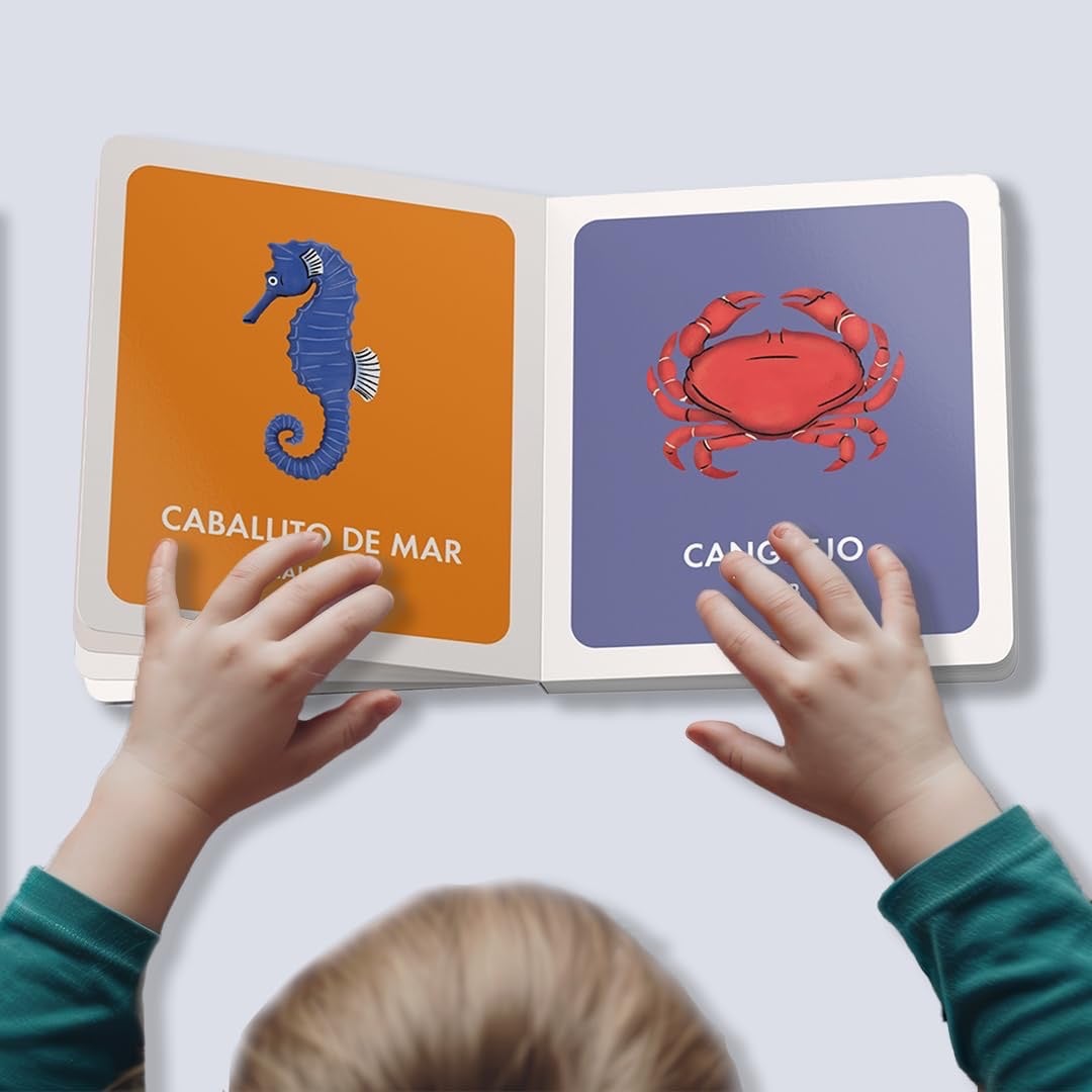 My First Bilingual Library: A Spanish-English Vocabulary Board Book Set of Colors, Numbers, Animals, ABCs, and More (Si Sabo Kids), photo 4 of 5