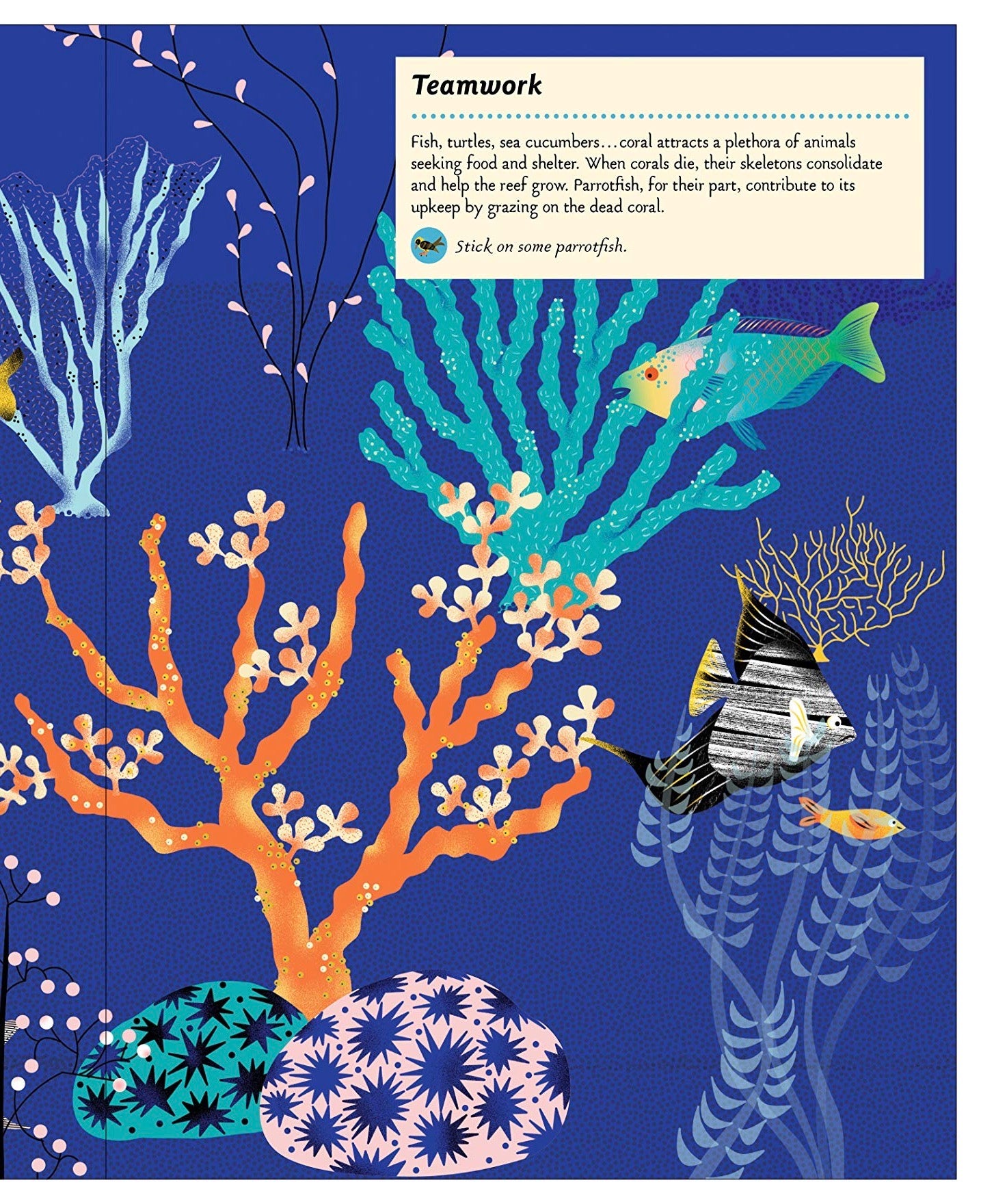 Inventive Animals: My Nature Activity Sticker Workbook (Ages 5-12), photo 4 of 4