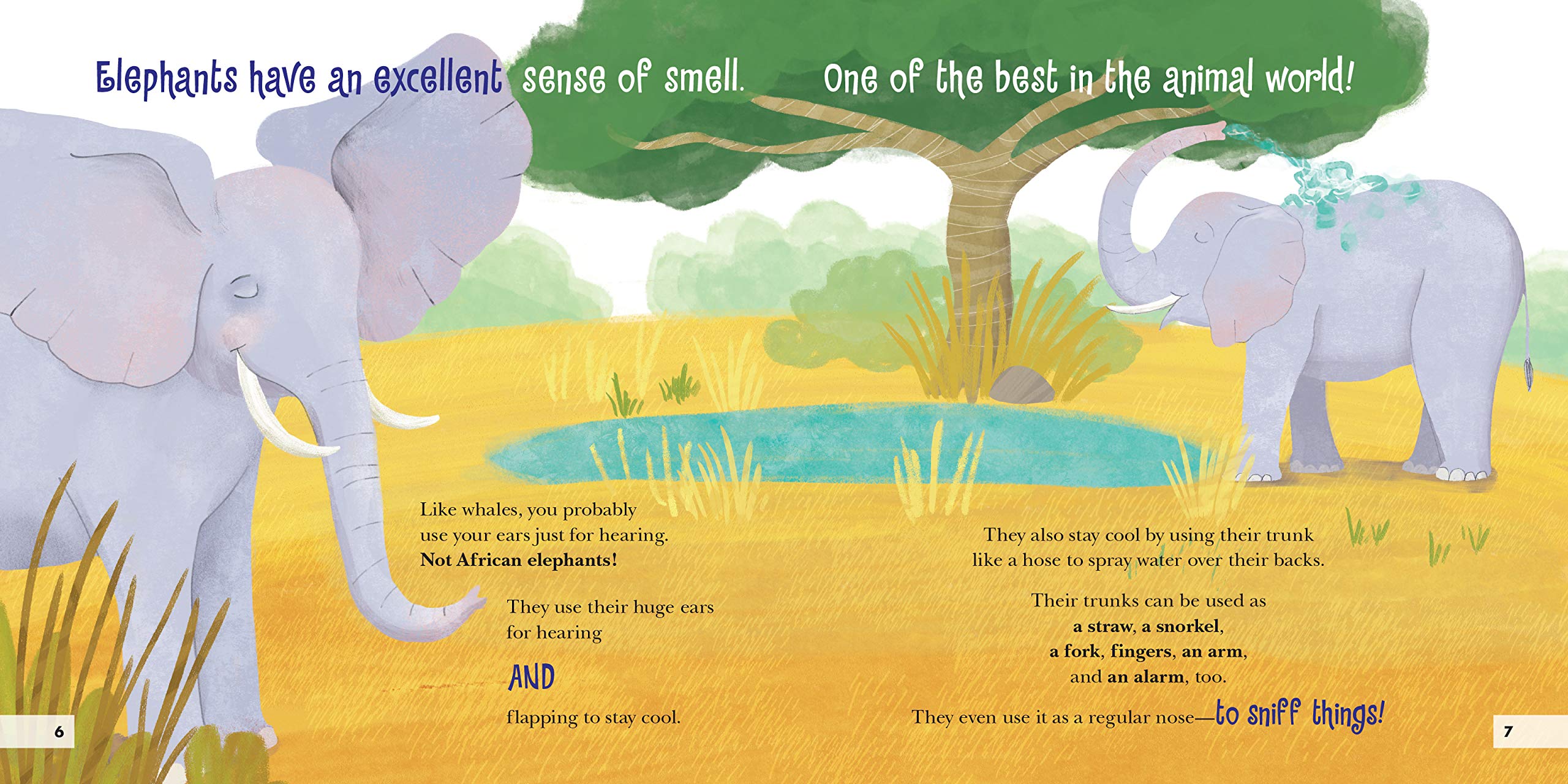 Stink Fights, Earwax, and Other Marvelous Mammal Adaptations - Hardcover Books, photo 5 of 5