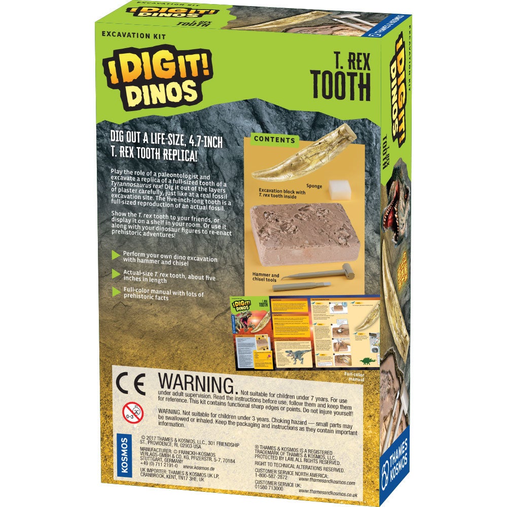 I Dig It! Dinos T. Rex Tooth Excavation Kit - Thames & Kosmos, photo 4 of 4