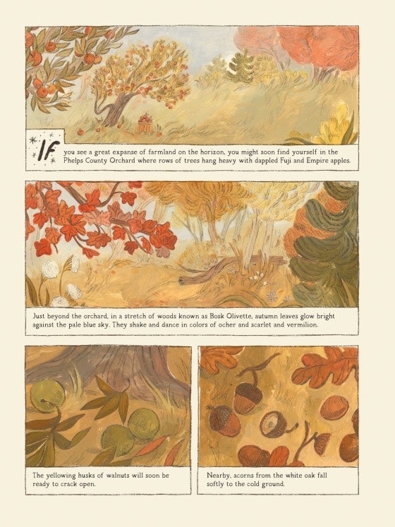Henri and Miko: Autumn in Bosk Olivette by Rebecca Green - Hardcover - 4-8 yrs, photo 2 of 2