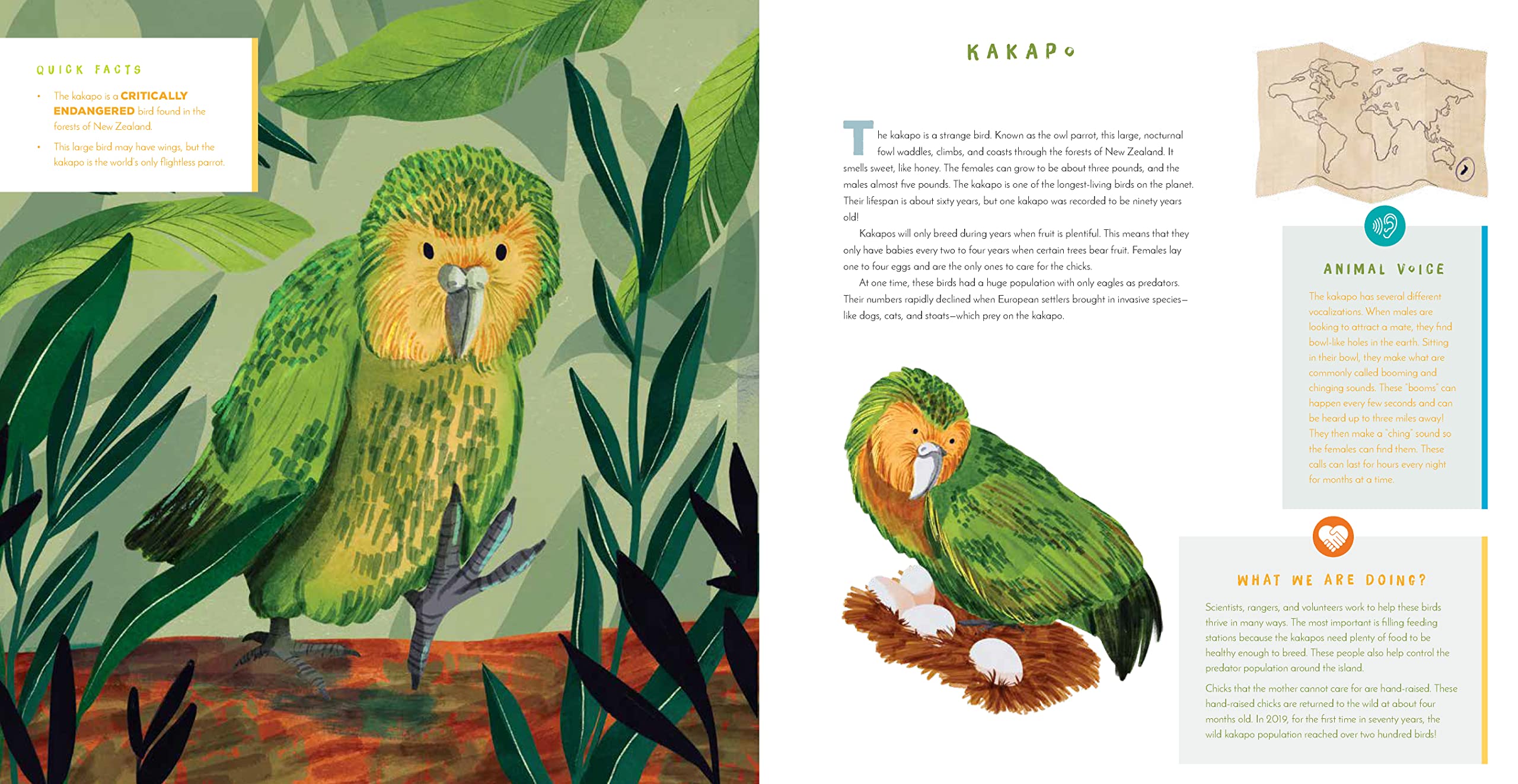 Hear Them Roar! 14 Endangered Animals from Around the World - Listen and Learn - Hardcover Books, photo 2 of 6