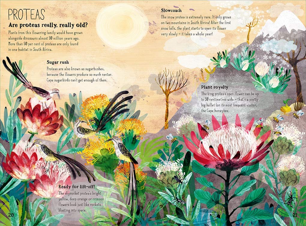 The Big Book of Blooms (The Big Book Series) - Large Hardcover Books, photo 7 of 8