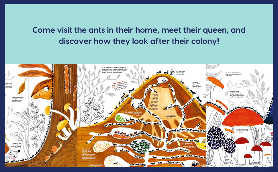 1001 Ants - Hardcover Books, photo 4 of 4